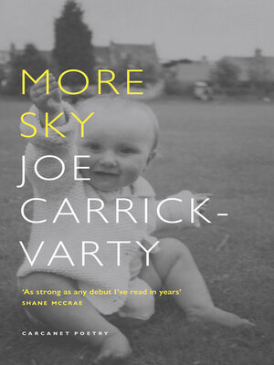 cover image of More Sky